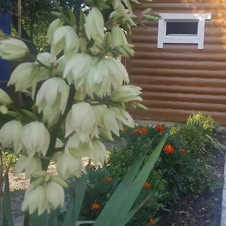 Apartmán приватна 