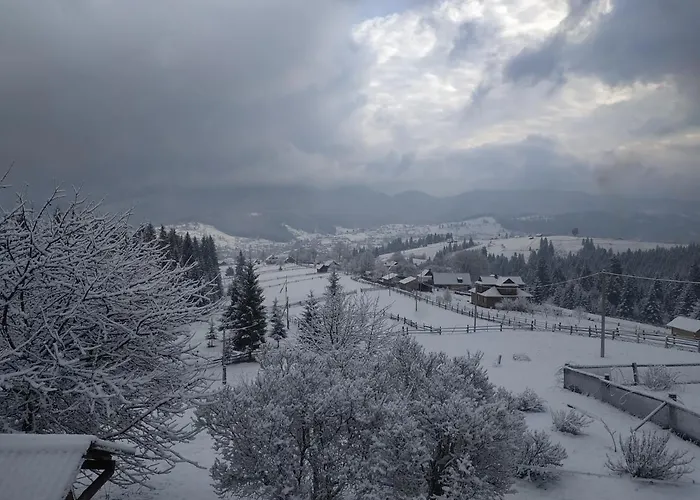 приватна 